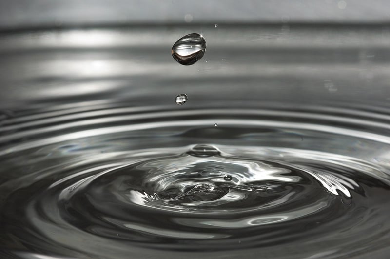 Portable Water Filter